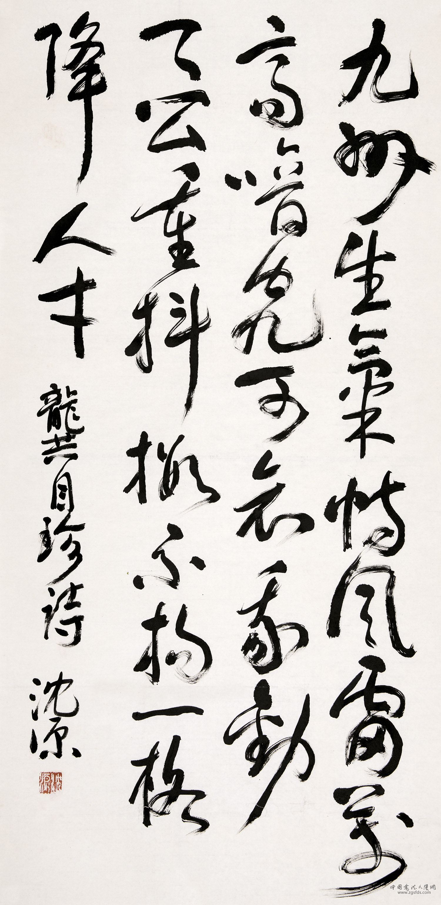 沈源 比利时.jpg