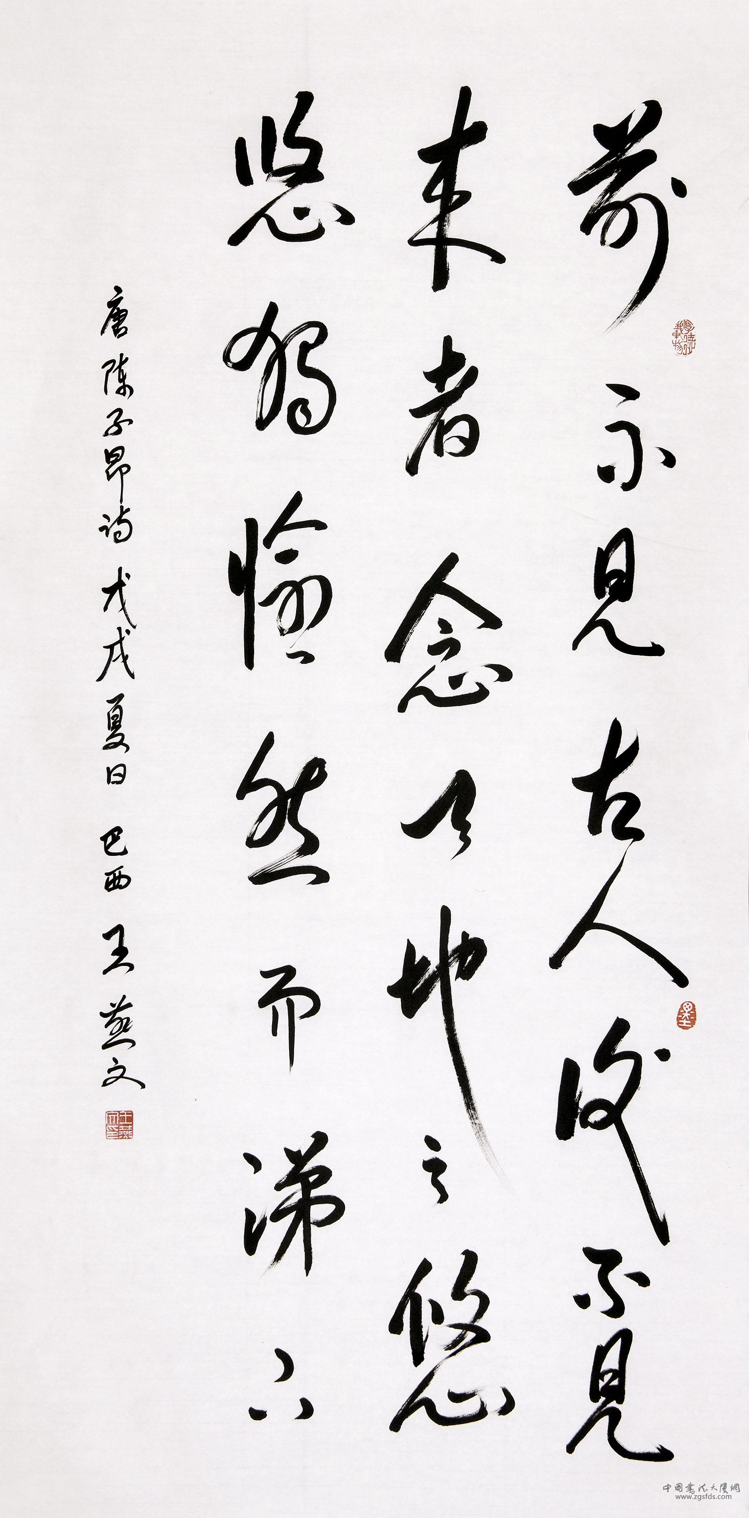 王燕文 巴西.jpg